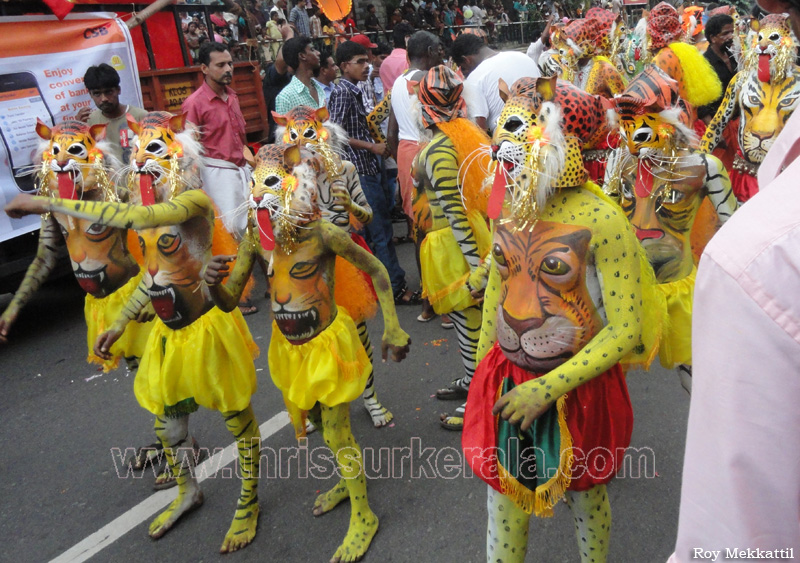 pulikkali-2011 (31)